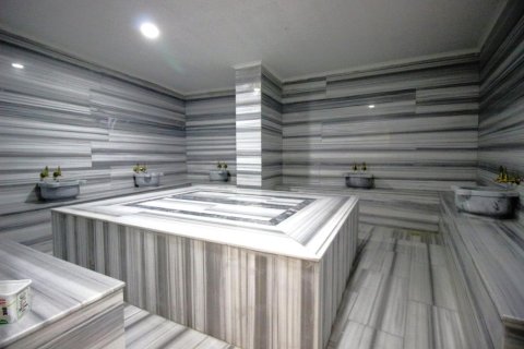 1+0 Lägenhet  i Alanya, Antalya, Turkiet Nr. 215550 - 13