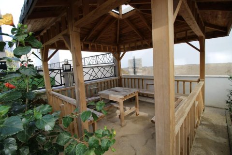 1+0 Lägenhet  i Alanya, Antalya, Turkiet Nr. 215550 - 14