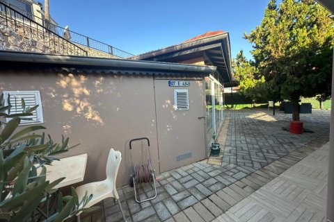 Villa in Oba, Antalya, Türkei Nr. 237472 - 28