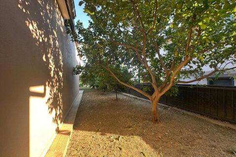 Villa in Oba, Antalya, Türkei Nr. 237472 - 22
