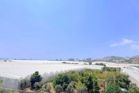 1+0 Lägenhet i Demirtas, Alanya, Antalya, Turkiet Nr. 228636 - 10