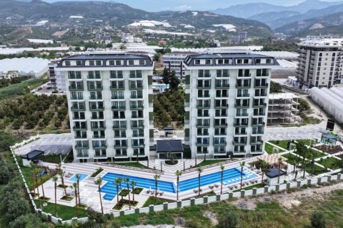 1+0 Wohnung in Demirtas, Alanya, Antalya, Türkei Nr. 228636