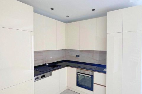 1+0 Lägenhet i Demirtas, Alanya, Antalya, Turkiet Nr. 228636 - 4