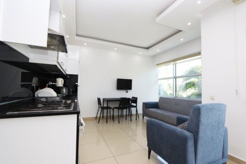 2+0 Penthäuser  in Alanya, Antalya, Türkei Nr. 228633 - 3