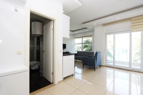 2+0 Penthäuser  in Alanya, Antalya, Türkei Nr. 228633 - 5