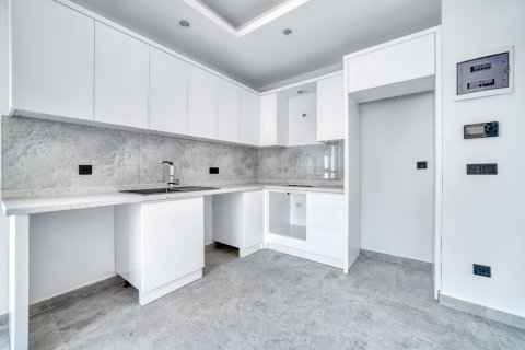 2+0 Penthäuser  in Alanya, Antalya, Türkei Nr. 228632 - 4