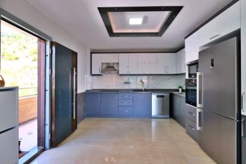 3+0 Villa  in Bektas, Alanya, Antalya, Türkei Nr. 228635 - 5