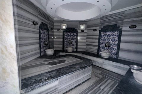 1+1 Wohnung  in Alanya, Antalya, Türkei Nr. 219028 - 9