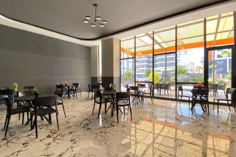 1+1 Wohnung  in Alanya, Antalya, Türkei Nr. 216653 - 19