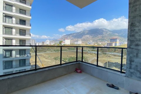 1+1 Wohnung  in Alanya, Antalya, Türkei Nr. 216653 - 5