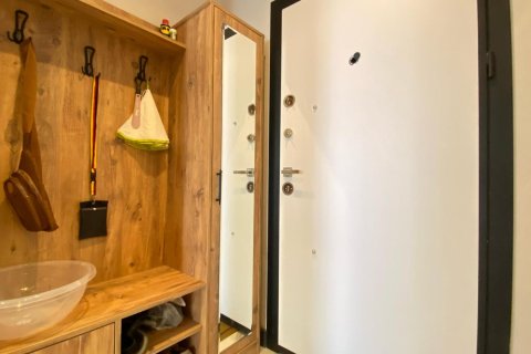 1+1 Wohnung  in Alanya, Antalya, Türkei Nr. 216653 - 6