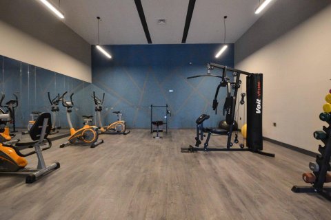 1+1 Wohnung  in Alanya, Antalya, Türkei Nr. 216653 - 12