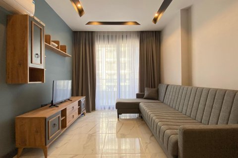 1+1 Wohnung  in Alanya, Antalya, Türkei Nr. 216653
