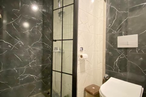 1+1 Wohnung  in Alanya, Antalya, Türkei Nr. 216653 - 7