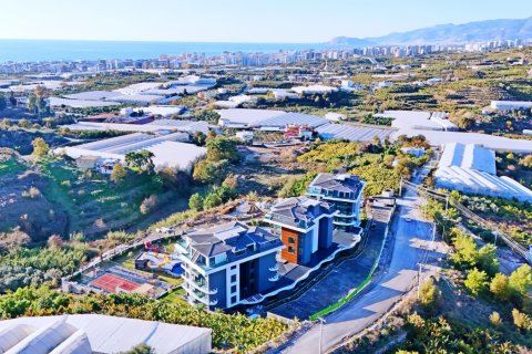 1+1 Wohnung  in Alanya, Antalya, Türkei Nr. 216650