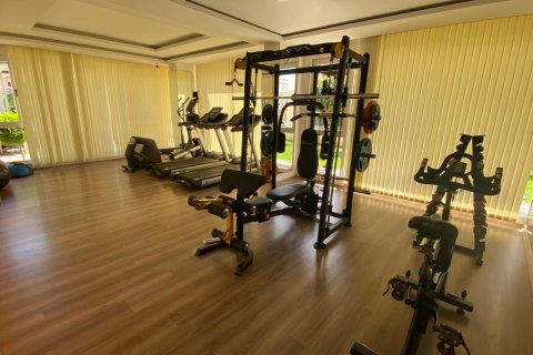 1+1 Wohnung  in Alanya, Antalya, Türkei Nr. 216654 - 11