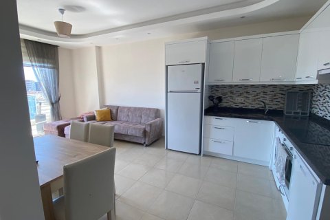1+1 Wohnung  in Alanya, Antalya, Türkei Nr. 216654 - 15
