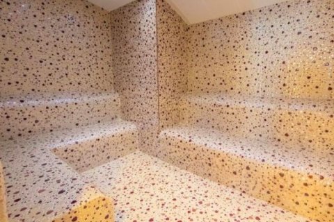 1+1 Wohnung  in Alanya, Antalya, Türkei Nr. 216654 - 7