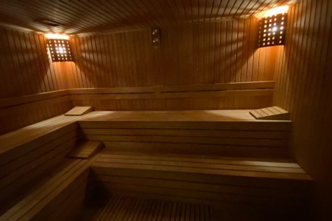 1+1 Wohnung  in Alanya, Antalya, Türkei Nr. 216654 - 19