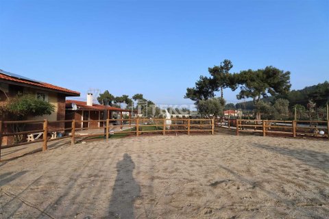 9+5 Villa  i Kusadasi, Aydin, Tyrkia Nr. 212584 - 23