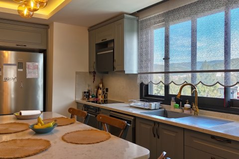 4+2 Villa  in Izmir, Türkei Nr. 223283 - 24