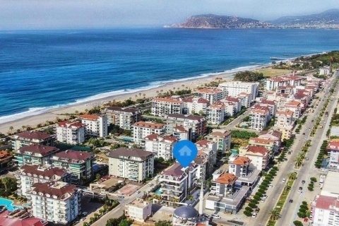 1+1 Wohnung  in Kestel, Antalya, Türkei Nr. 229107 - 4