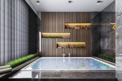 1+1 Wohnung  in Kestel, Antalya, Türkei Nr. 229107 - 14