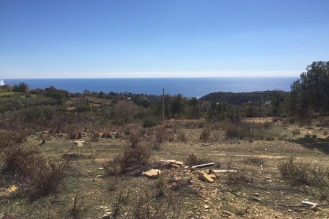 Land  in Avsallar, Antalya, Türkei Nr. 231938