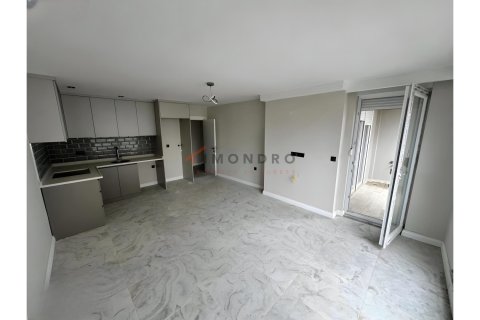 1+1 Lejlighed i Manavgat, Antalya, Tyrkiet Nr. 217046 - 6