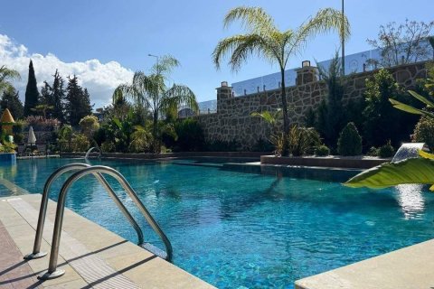 آپارتمان در  Alanya ، ترکیه 1 خوابه ، 48 متر مربع.  شماره 229095 - 13