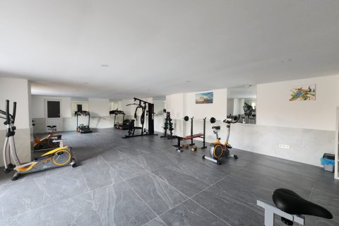 2+1 Wohnung  in Alanya, Antalya, Türkei Nr. 216874 - 8