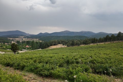   in Antalya, Türkei Nr. 223401 - 5