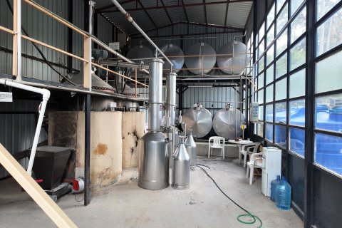   in Antalya, Türkei Nr. 223401 - 17