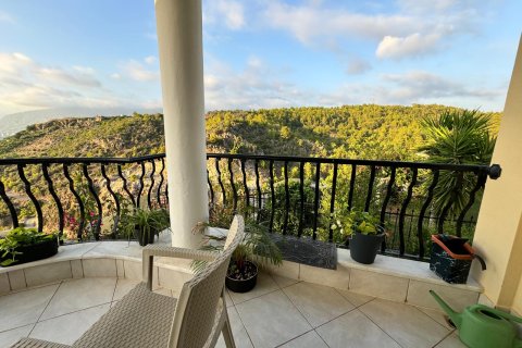 Аренда квартиры  в Аланье, Анталье, Турция 3+1, 200м2, №216833 – фото 13