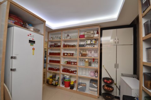 4+1 Wohnung  in Alanya, Antalya, Türkei Nr. 216838 - 22