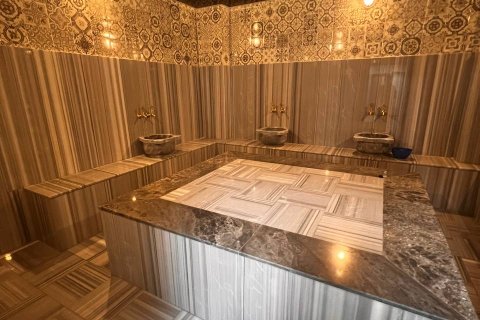 1+1 Wohnung  in Alanya, Antalya, Türkei Nr. 216832 - 6