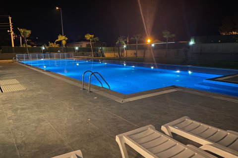 1+1 Wohnung  in Alanya, Antalya, Türkei Nr. 216832 - 2