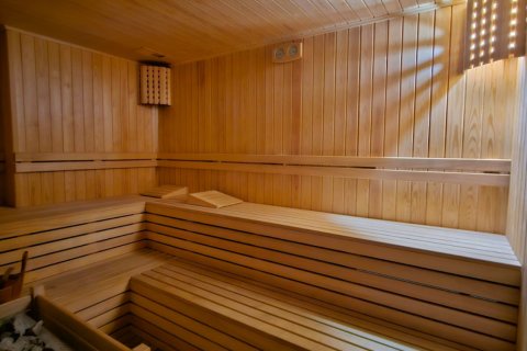 1+1 Wohnung  in Alanya, Antalya, Türkei Nr. 216832 - 9