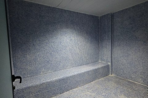 1+1 Wohnung  in Alanya, Antalya, Türkei Nr. 216832 - 8