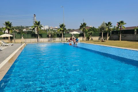 1+1 Wohnung  in Alanya, Antalya, Türkei Nr. 216832 - 15