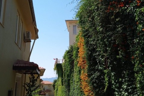 Villa  3+1  Antalya, Türkiye №222832 - 6