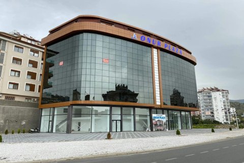 Commercial property  in Alanya, Antalya, Turkey No. 231227