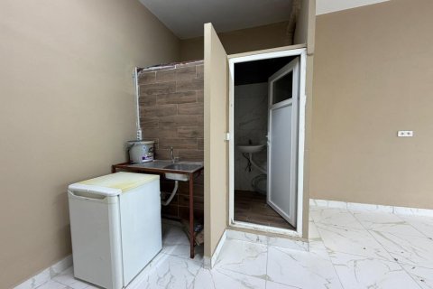 Ladengeschäft  in Alanya, Antalya, Türkei Nr. 216321 - 10