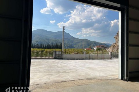 Ticari gayrimenkul   Dalyan, Muğla, Türkiye №233009 - 5