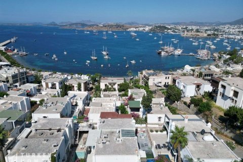 Villa 10+1 Bodrum, Muğla, Türkiye №233010 - 3