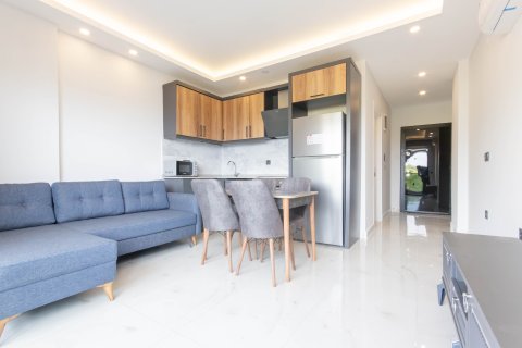 1+1 Wohnung  in Alanya, Antalya, Türkei Nr. 219124 - 4