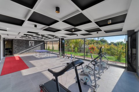 3+1 Lägenhet  i Kestel, Antalya, Turkiet Nr. 219125 - 22