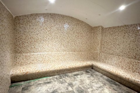 1+1 Wohnung  in Mahmutlar, Antalya, Türkei Nr. 217639 - 6