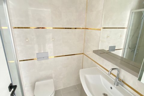 1+1 Lejlighed  i Mahmutlar, Antalya, Tyrkiet Nr. 224560 - 10