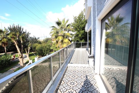 Otel   Alanya, Antalya, Türkiye №219038 - 13